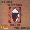 13thfloor_bullofwoods.jpg