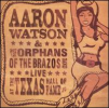 aaronwatson_live.jpg
