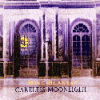mikeblakely_carelessmoonlight.jpg